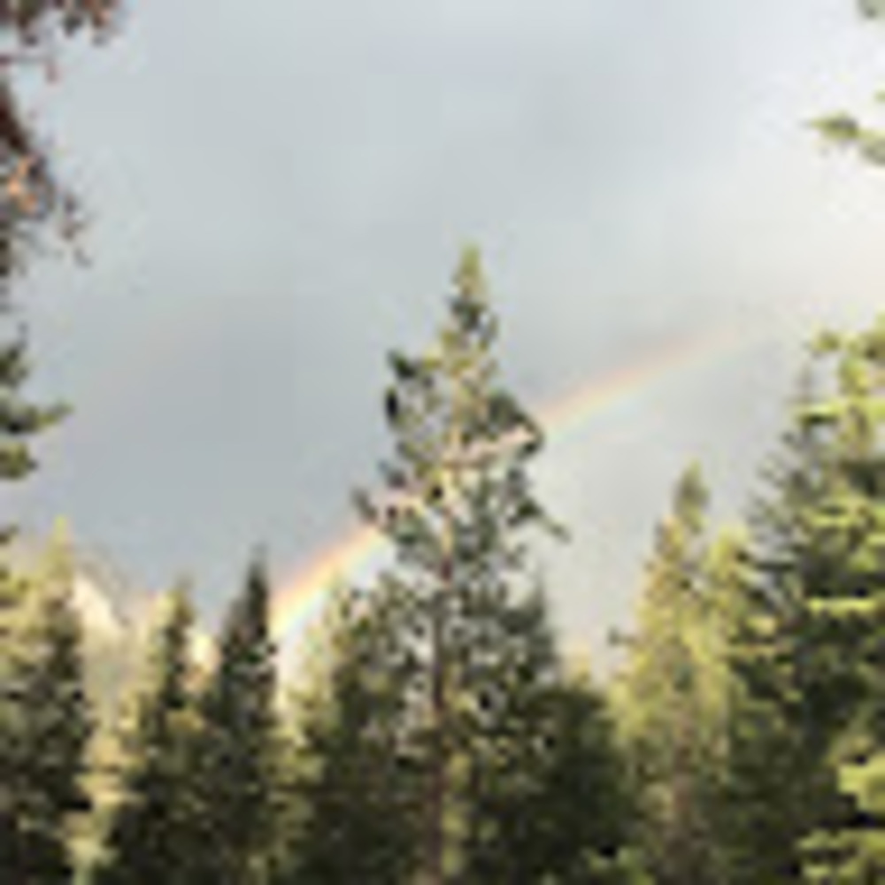 Meet your Posher, Carolshine